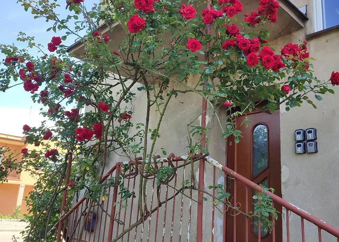 Pokoje_zbaszyn * Zbąszyń